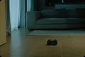 Terrain Teleoperated Robot